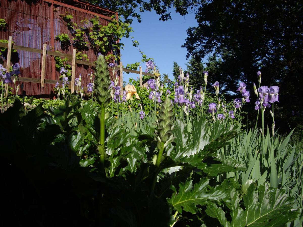 La bastide de Mauragne - Gîte les Iris Apt Extérieur photo